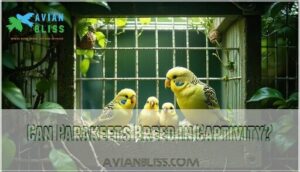 can parakeets breed in captivity can parakeets breed in captivity