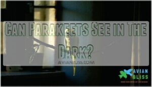 can parakeets see in the dark