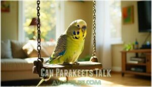 can parakeets talk