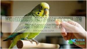 can parakeets talk at all