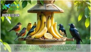can wild birds eat bananas