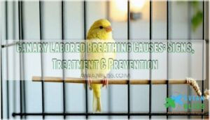 canary labored breathing causes