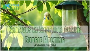 changes in appetite during budgie molting changes in appetite during budgie molting