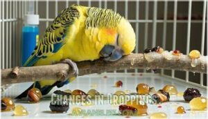 changes in droppings changes in droppings