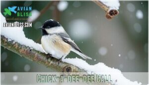 chick-a-dee-dee call