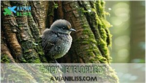 chick development