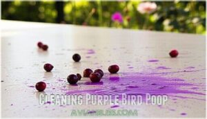 cleaning purple bird poop