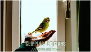 clipping decisions