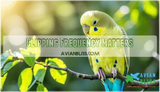 Image showcasing Why Clip Parakeet Wings: Safety Vs Flight Freedom Explained
