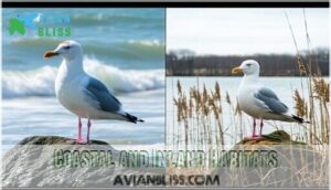 coastal and inland habitats