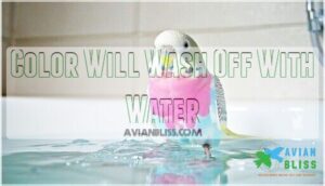 color will wash off with water