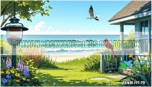 common backyard birds by location