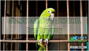 common causes of abnormal bird behavior common causes of abnormal bird behavior