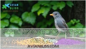 common misconceptions about bird poop color