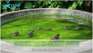 common water quality issues