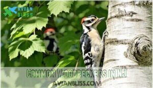 common woodpeckers in nj