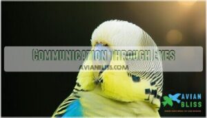 communication through eyes