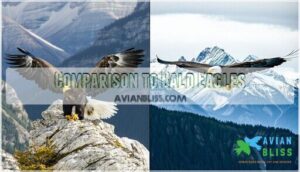 comparison to bald eagles