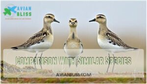 comparison with similar species