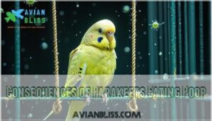 consequences of parakeets eating poop