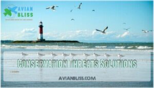 conservation threats solutions