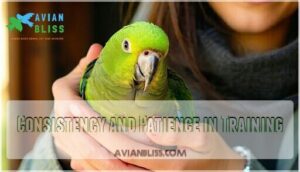 consistency and patience in training