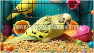 convulsions and sudden death