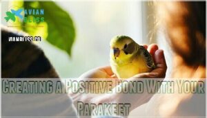 creating a positive bond with your parakeet