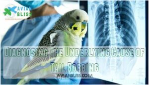 diagnosing the underlying cause of tail bobbing