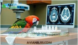 diagnostic tools and techniques diagnostic tools and techniques