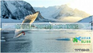 distance covered and timing