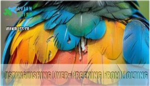 distinguishing over-preening from molting