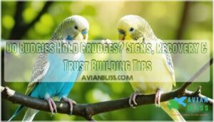 do budgies hold grudges
