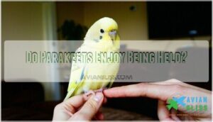 do parakeets enjoy being held