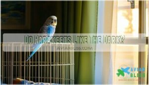 do parakeets like the dark