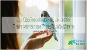 do parakeets like to be held