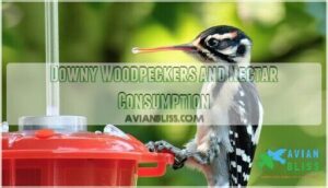 downy woodpeckers and nectar consumption