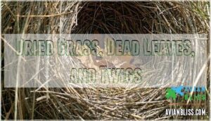 dried grass, dead leaves, and twigs dried grass, dead leaves, and twigs