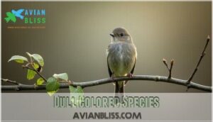 dull colored species