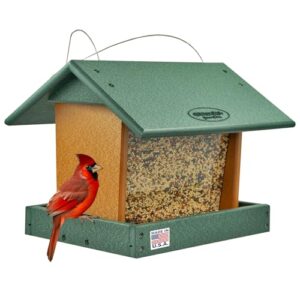 DutchCrafters Poly Hanging Hopper Bird B0DHW8Z8FY