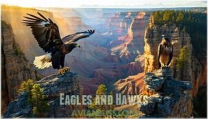 eagles and hawks