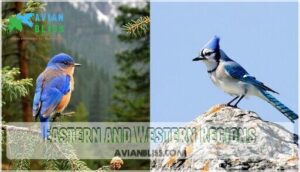 eastern and western regions