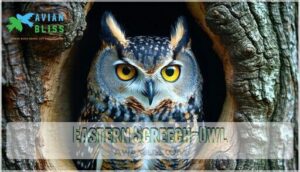 eastern screech-owl
