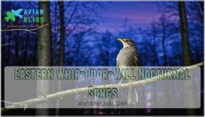eastern whip-poor-will nocturnal songs