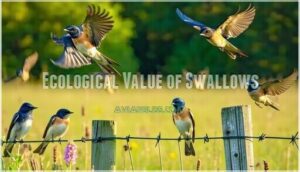 ecological value of swallows