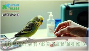 emergency care for clipping accidents