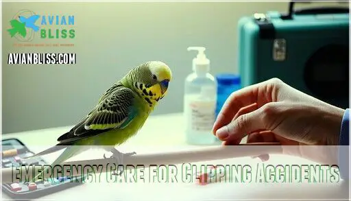 Image showcasing Why Clip Parakeet Wings: Safety Vs Flight Freedom Explained