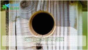 entrance hole size