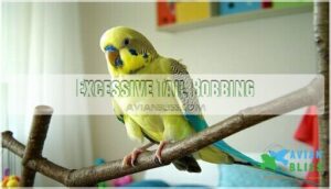 excessive tail bobbing