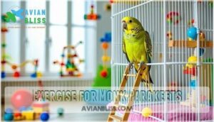 exercise for monk parakeets